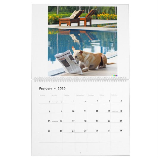 Agenda met afbeeldingen kalender (Feb 2026)