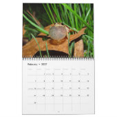 Agenda met kikkers kalender (Feb 2027)