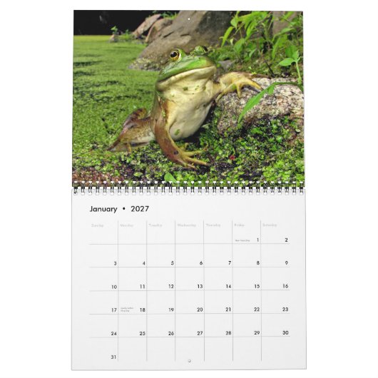 Agenda met kikkers kalender (Jan 2027)