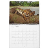 Agenda met kikkers kalender (Mar 2027)