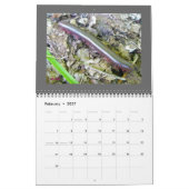 Agenda - Mooie bugs Kalender (Feb 2027)