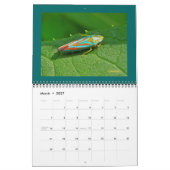 Agenda - Mooie bugs Kalender (Mar 2027)