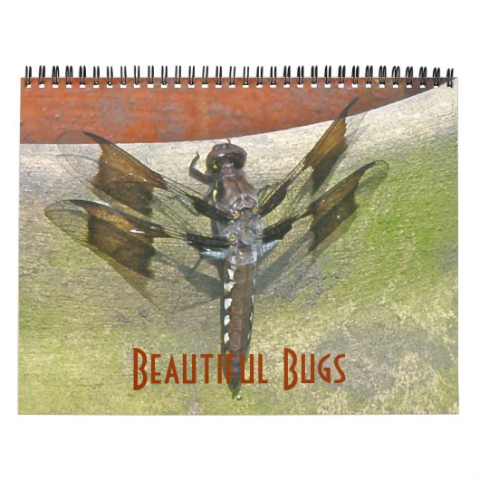 Agenda - Mooie bugs Kalender (Hoes)