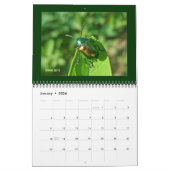 Agenda - Mooie bugs Kalender (Jan 2026)