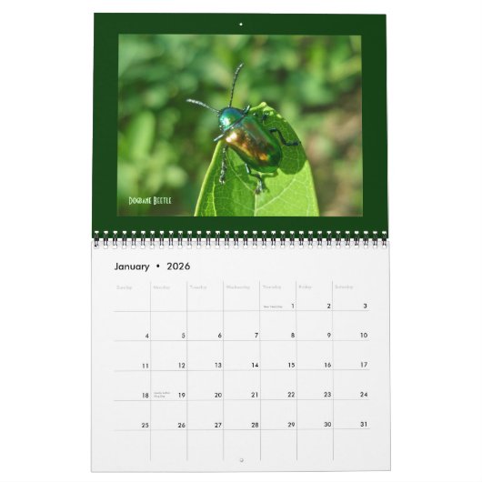 Agenda - Mooie bugs Kalender (Jan 2026)