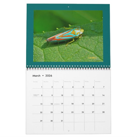 Agenda - Mooie bugs Kalender (Mar 2026)