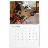 Agenda Mose en Ty 2019 Kalender (Feb 2026)