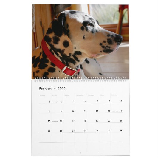 Agenda Mose en Ty 2019 Kalender (Feb 2026)