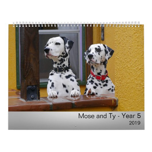 Agenda Mose en Ty 2019 Kalender (Hoes)