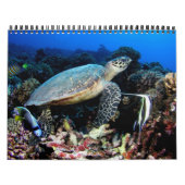 Agenda onderwater foto's 2012 kalender (Hoes)