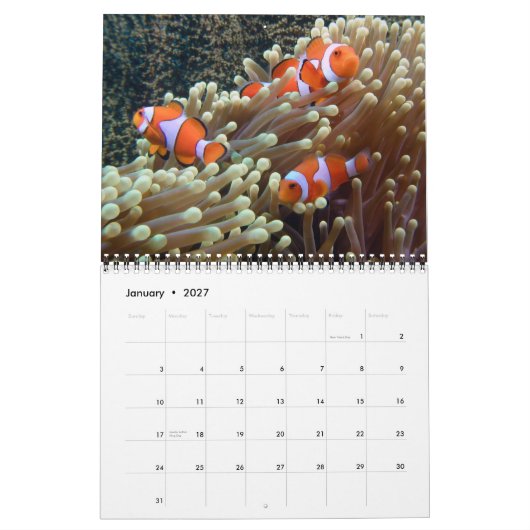 Agenda onderwater foto's 2012 kalender (Jan 2027)