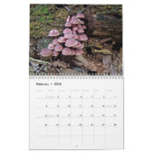 Agenda ~ Onze prachtige wereld #4 Kalender (Feb 2026)