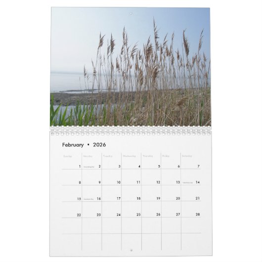 Agenda - op de kust kalender (Feb 2026)