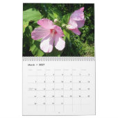 Agenda - op de kust kalender (Mar 2027)