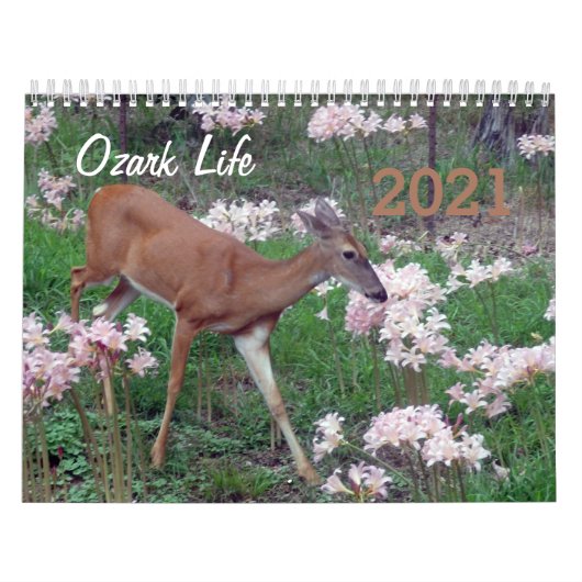 Agenda Ozark Life 2021 Kalender (Hoes)