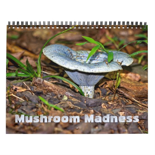 Agenda ~ Paddenstoel Kalender (Hoes)