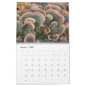 Agenda ~ Paddenstoel Kalender (Jan 2027)