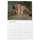 Agenda ~ Paddenstoel Kalender (Mar 2027)