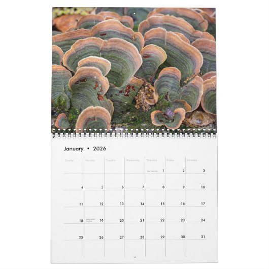 Agenda ~ Paddenstoel Kalender (Jan 2026)