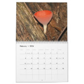 Agenda paddenstoelen kalender (Feb 2026)