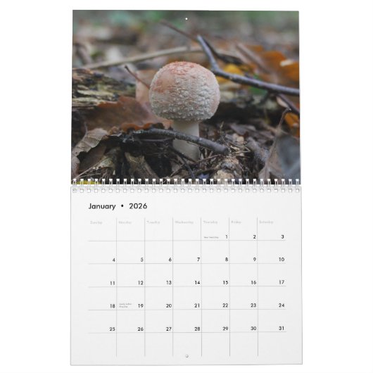 Agenda paddenstoelen kalender (Jan 2026)