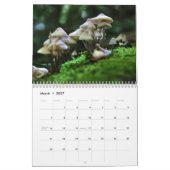 Agenda paddenstoelen kalender (Mar 2027)