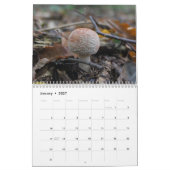 Agenda paddenstoelen kalender (Jan 2027)