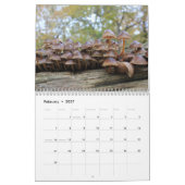 Agenda paddenstoelen kalender (Feb 2027)