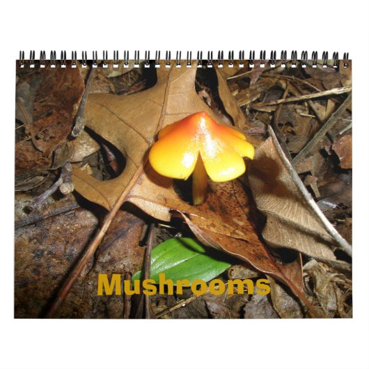 Agenda-paddenstoelen Kalender (Hoes)