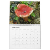 Agenda-paddenstoelen Kalender (Jan 2027)