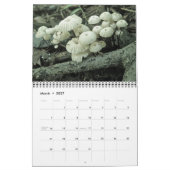 Agenda-paddenstoelen Kalender (Mar 2027)