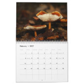 Agenda paddenstoelen kalender (Feb 2027)