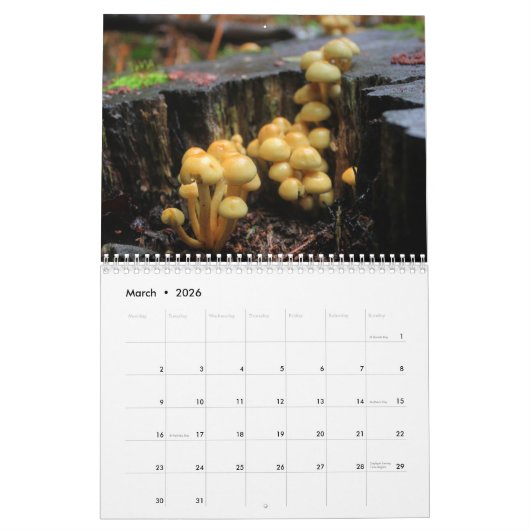 Agenda paddenstoelen kalender (Mar 2026)