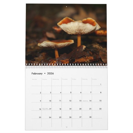 Agenda paddenstoelen kalender (Feb 2026)