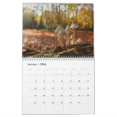 Agenda paddenstoelen kalender (Jan 2026)