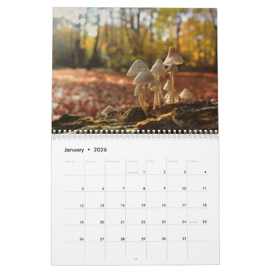 Agenda paddenstoelen kalender (Jan 2026)