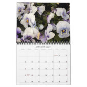 Agenda ~ Pansies bij afspelen Kalender (Jan 2027)