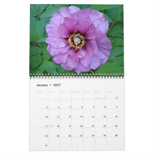 Agenda Peony 2010 Kalender (Jan 2027)