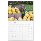 Agenda Puppy Kalender Home Muur Hond (Mar 2027)