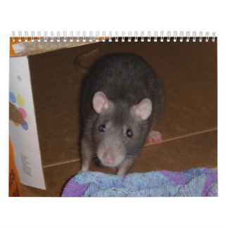 Agenda: Rat- en muisliefde Kalender