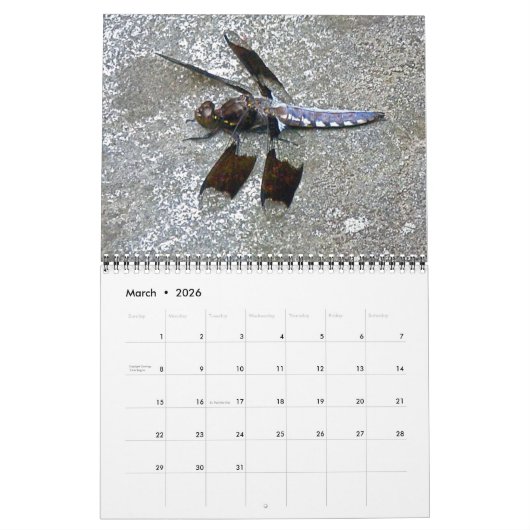 Agenda - rond de Pond Kalender (Mar 2026)