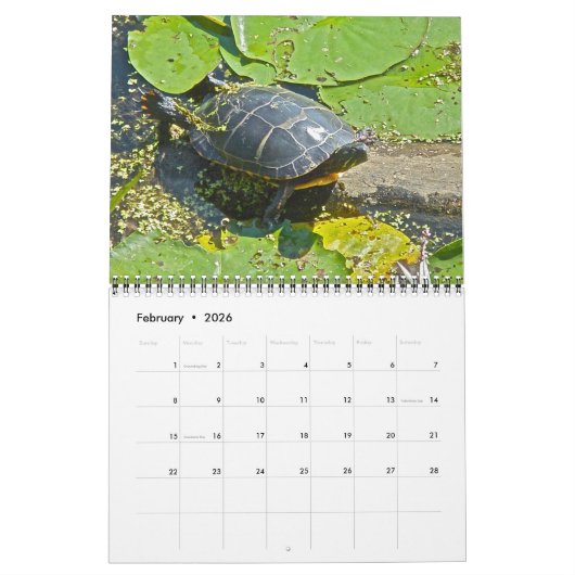 Agenda - rond de Pond Kalender (Feb 2026)