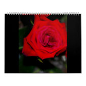 Agenda-ROZEN Kalender (Hoes)
