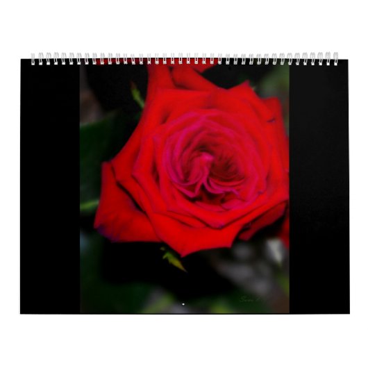 Agenda-ROZEN Kalender (Hoes)