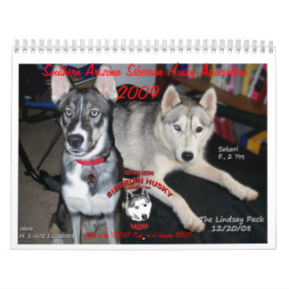 Agenda SASHA 2009 Kalender