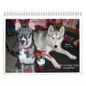 Agenda SASHA 2009 Kalender (Hoes)