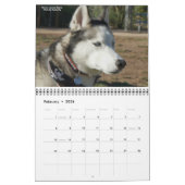 Agenda SHAAZ 2012 Kalender (Feb 2026)