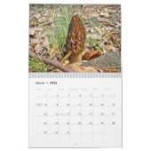 Agenda - Song van de seizoenen Kalender (Mar 2026)