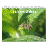 Agenda - Spiders Galore Kalender (Hoes)