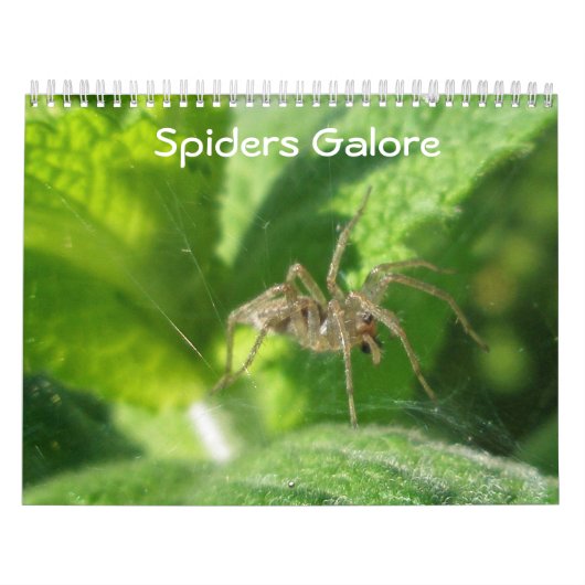 Agenda - Spiders Galore Kalender (Hoes)